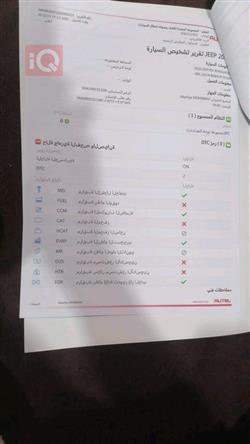 جيب رينيجيد